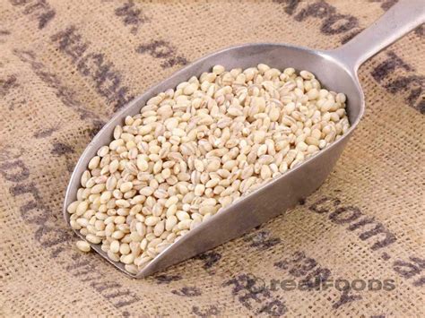 does pearl barley contain gluten